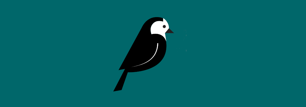 Wagtail-Bird-Skinny